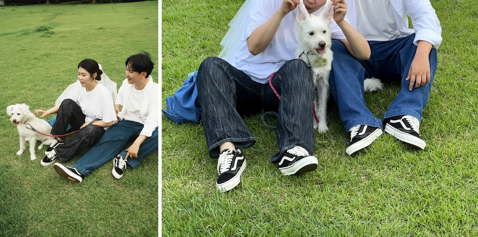 같이 나간 산책 · 가족이 다 같이 모인 날